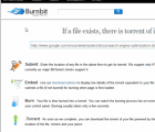 BurnBit 从Internet上托管的任何文件创建种子