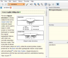 GoldenDict具有Wikipedia集成的字典