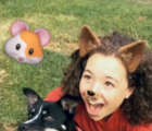 Instagram用户现在可以通过直接消息分享故事