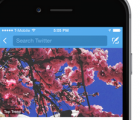 Twitter趋势功能可在Android移动应用上看到更新