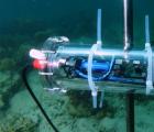 英特尔和埃森哲使用人工智能来拯救珊瑚礁