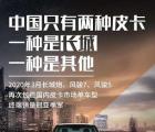 长城皮卡3月国内市占率近50%刷新行业记录再创历史新高