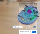 Google可以直接在搜索页面上为您提供AR科学课程