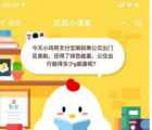 蚂蚁庄园每日一题问答：公交出行能得多少g能量