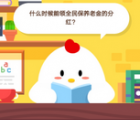 蚂蚁庄园每日一题问答：什么时候能领全民保养老金的分红