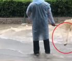 暴雨过后的广州 捕鱼达人各显神通
