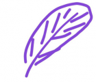 app使用问答：QQ画图红包羽毛怎么画 羽毛画法教程