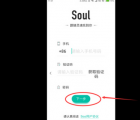 app使用问答：soul只能用手机号注册吗 soul怎么注册账号