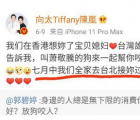 向太回应郭碧婷深夜发文 网友纷纷表示向太真是暖心的婆婆
