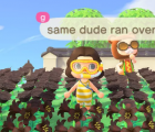Animal Crossing玩家如何保护自己免受海盗侵害