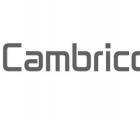 中国人工智能芯片制造商Cambricon股价首次公开募股上涨350％