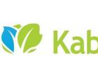 在线贷方Kabbage为小型企业开设支票账户